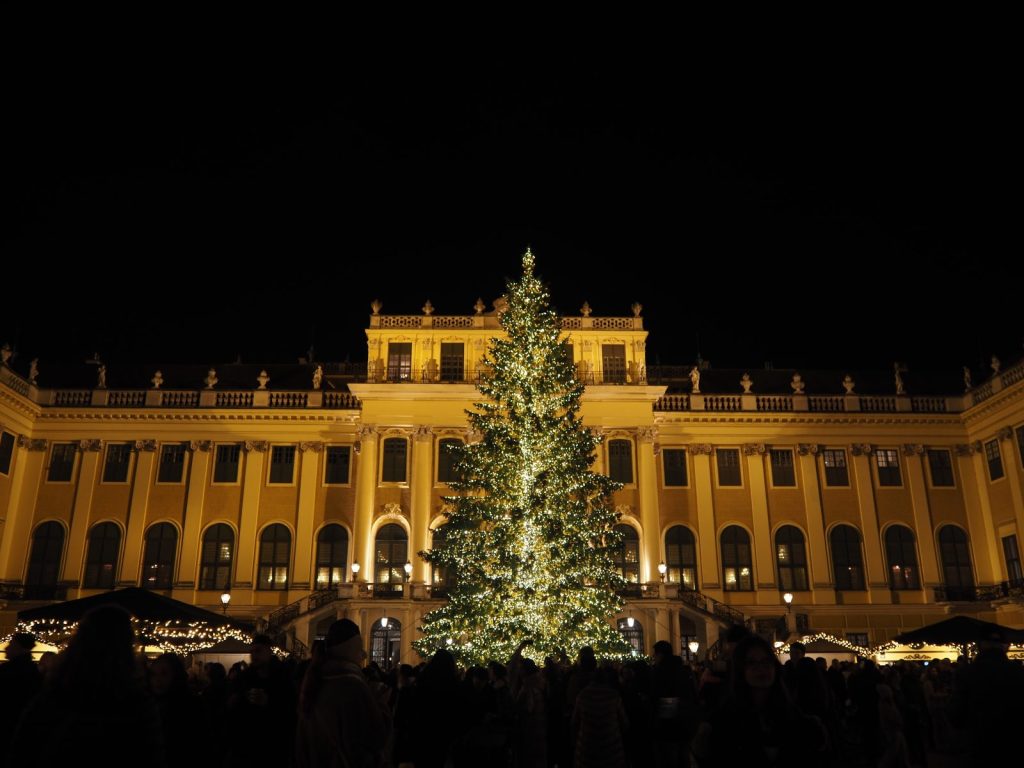 Christmas market at Schönbrunn Palace with a large illuminated Christmas tree glowing in front of the baroque façade at night.