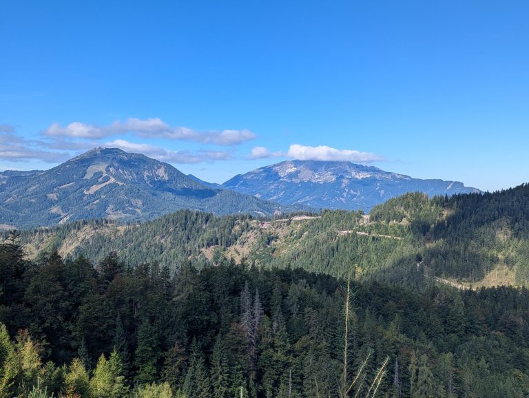 View over the mountains and valley from Mariazeller Buergeralpe. Trees in the foreground, green hills in the background below a blue sky.