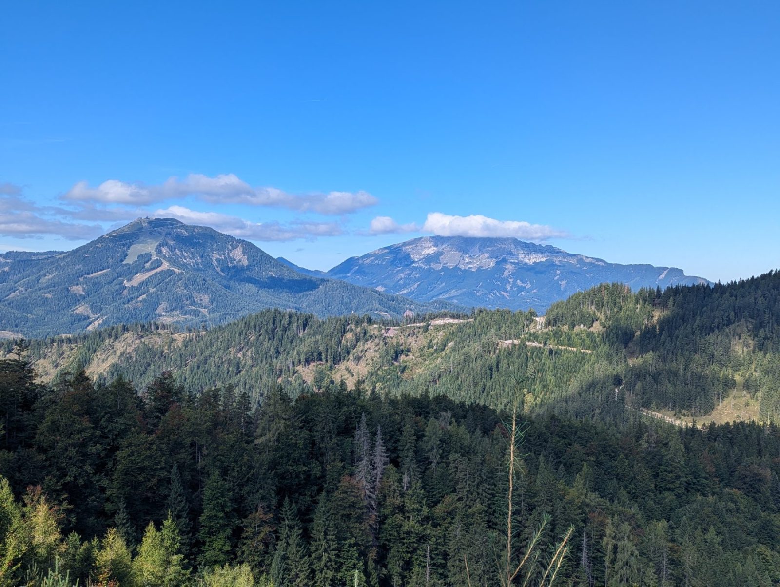 View over the mountains and valley from Mariazeller Buergeralpe. Trees in the foreground, green hills in the background below a blue sky.