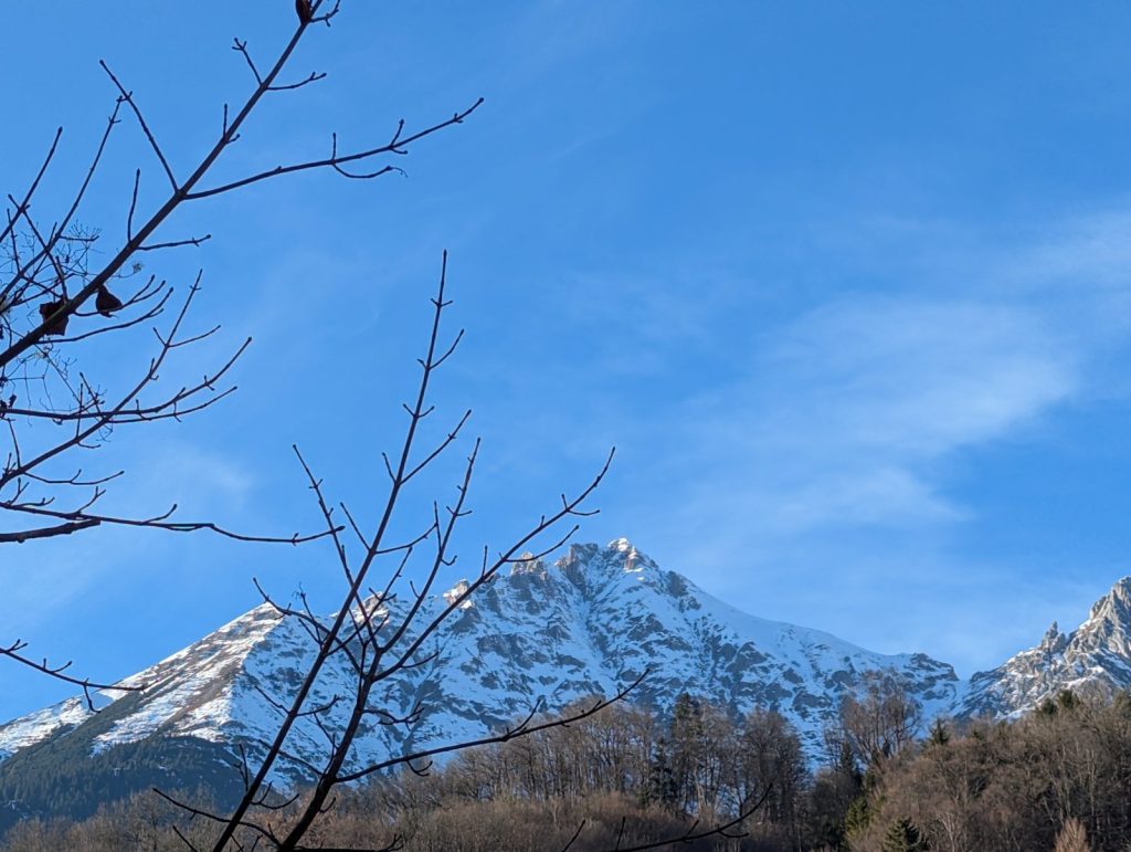 Snow-dusted Alpine mountain peak under a clear blue sky, with bare tree branches in the foreground.