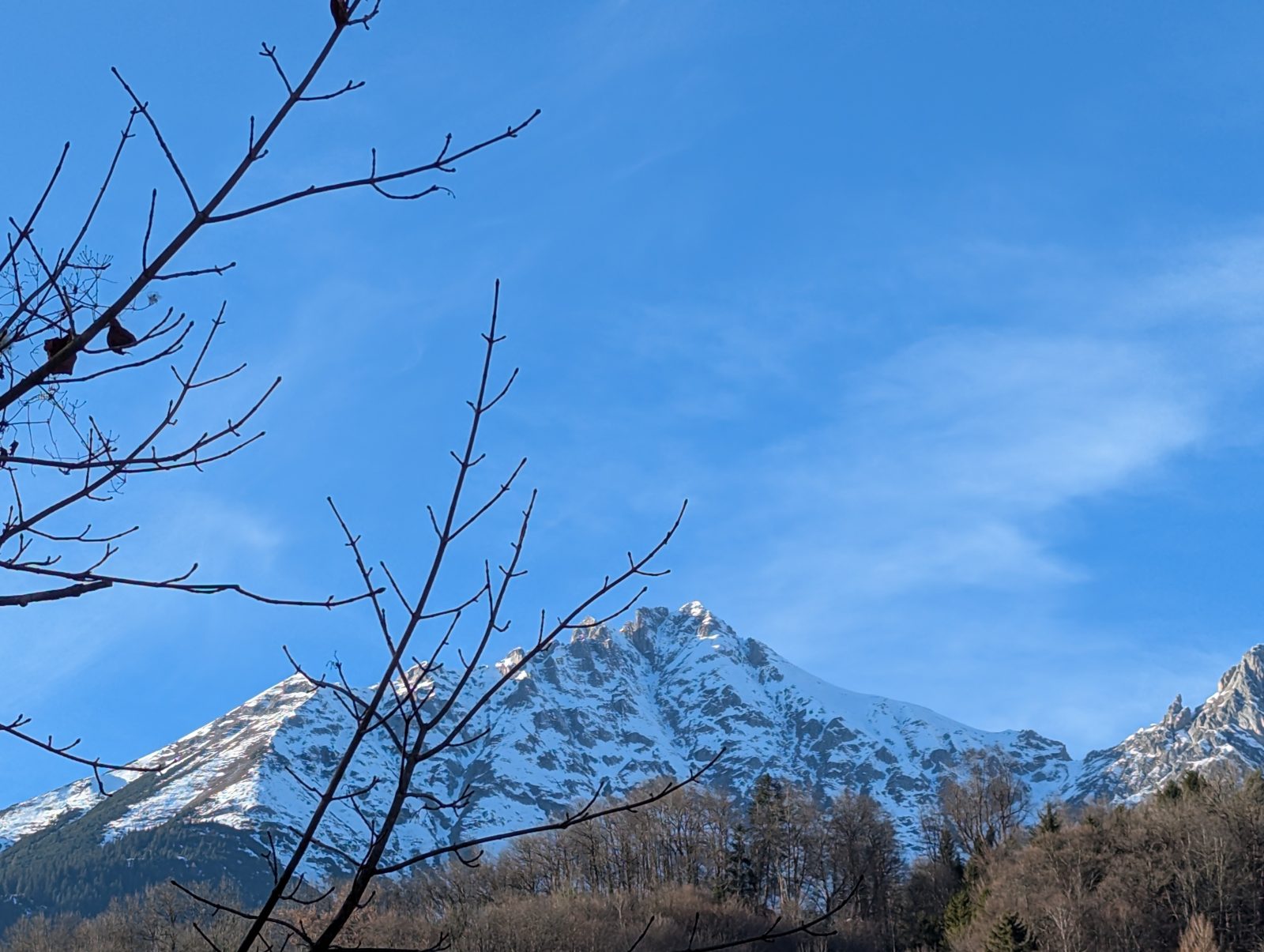 Snow-dusted Alpine mountain peak under a clear blue sky, with bare tree branches in the foreground.